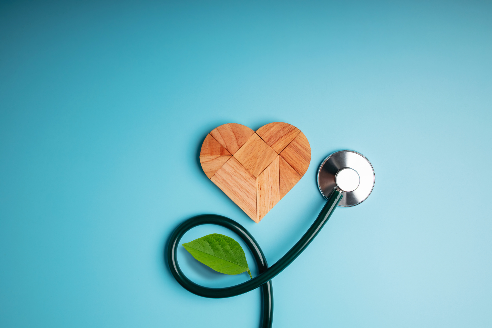 Organic Healthy Lifestyle Concept